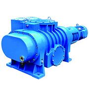 Roots Vacuum Pump