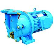 Liquid Ring Vacuum Pump