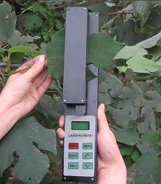 Portable Raw Leaf Area Meter OSC97AU115